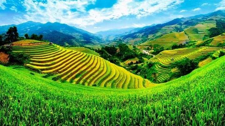 Bác sĩ Cung công khai tin - Cảm hứng video marketing từ Hotspot Matrix