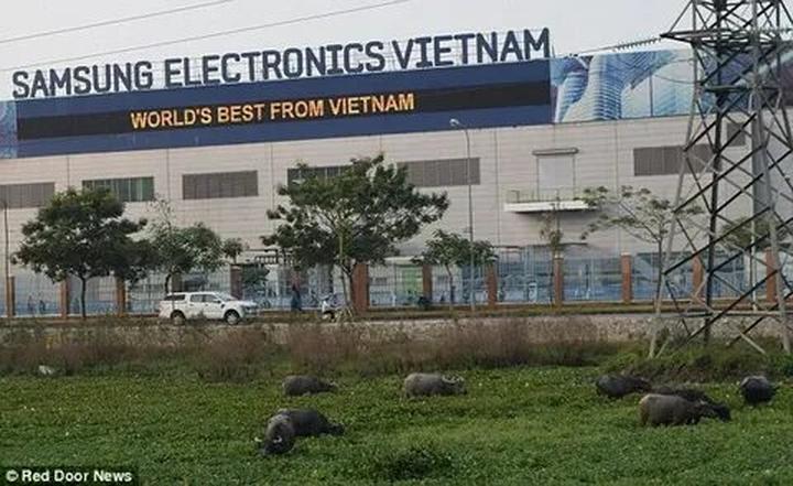Xu hướng “Khối nghỉ hè” Gen Z lên kế: Hotspot Matrix tiết lộ bí quyết video viral