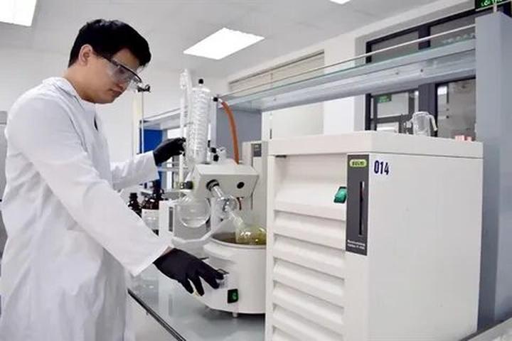 Bonobo: Nguồn Gốc Tiến Hóa Của Ngôn Ngữ Con Người?